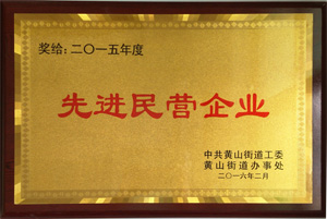 先進(jìn)民營企業(yè)